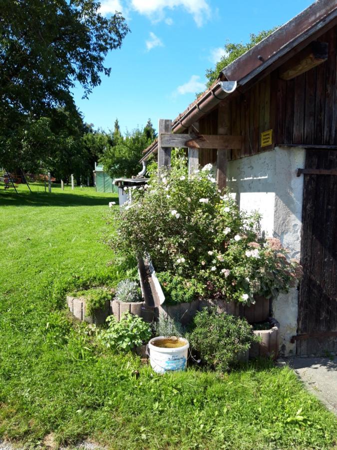 Ferienwohnung Im Seidlerhof Mit Balkon Und Garten Röhrnbach Extérieur photo
