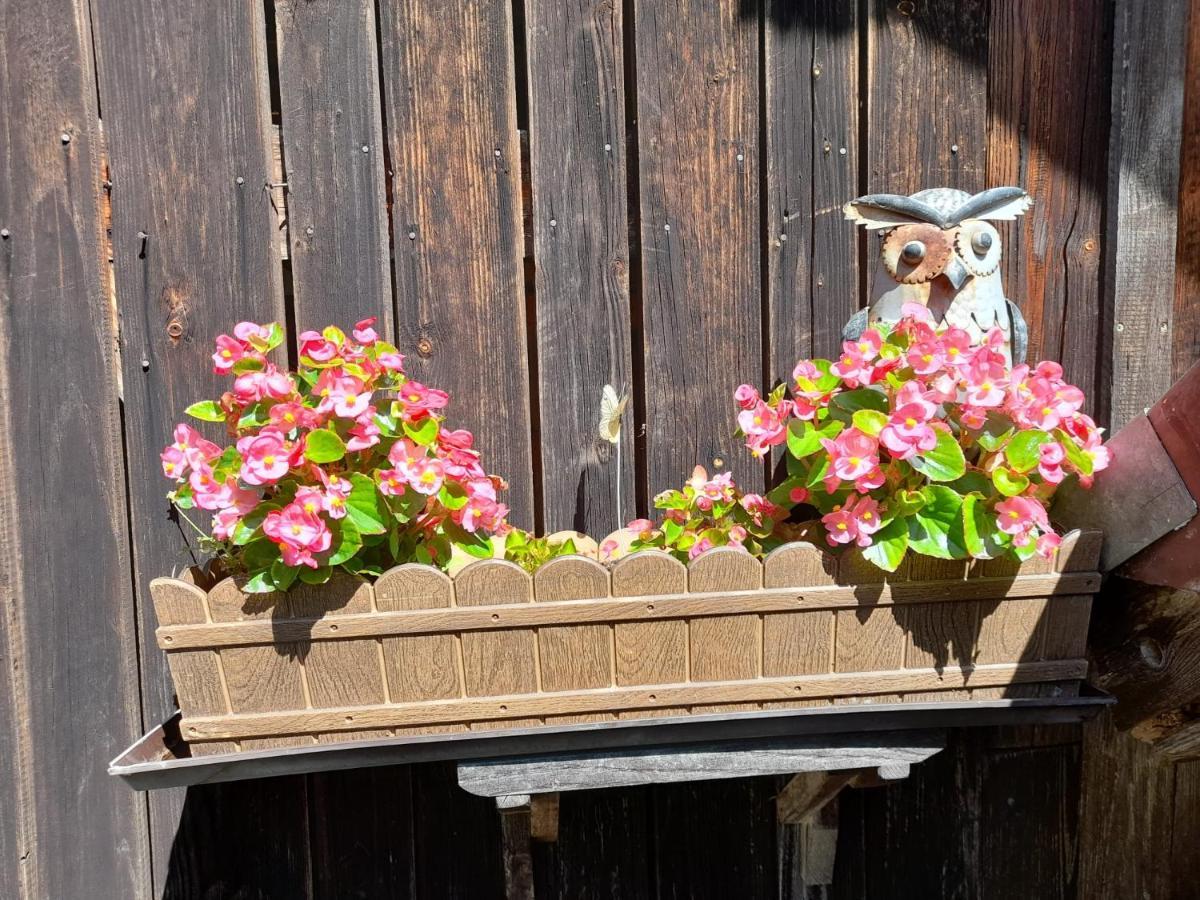 Ferienwohnung Im Seidlerhof Mit Balkon Und Garten Röhrnbach Extérieur photo