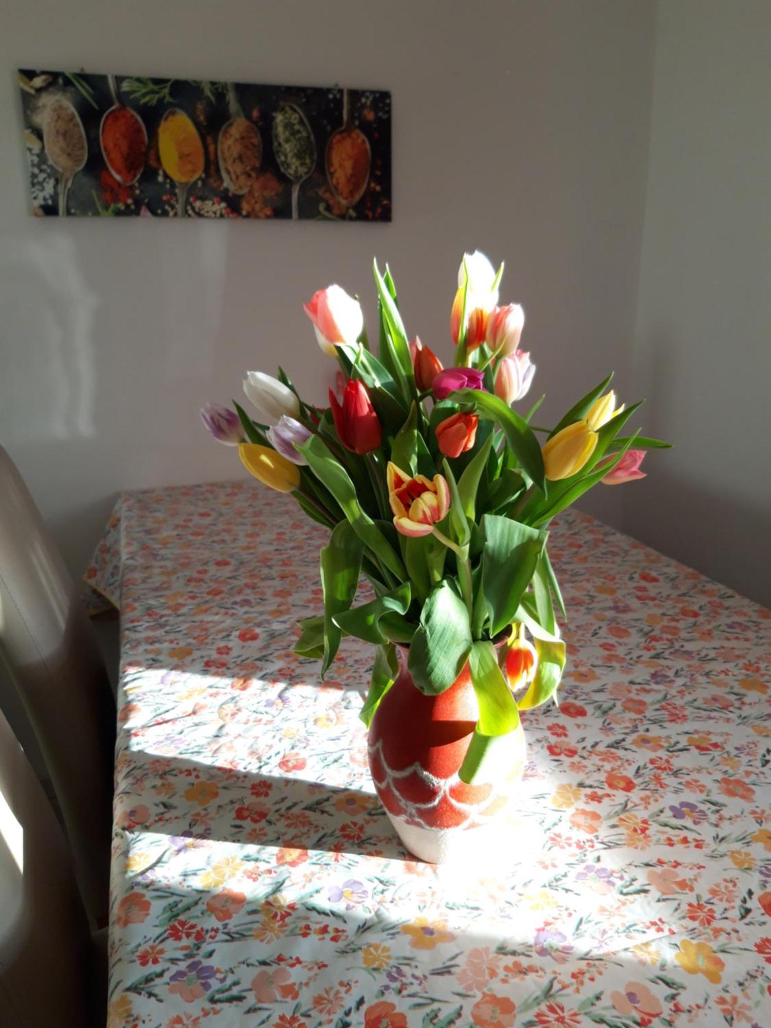 Ferienwohnung Im Seidlerhof Mit Balkon Und Garten Röhrnbach Extérieur photo